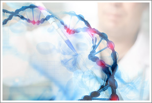 DNA-In SY5Y細(xì)胞轉(zhuǎn)染試劑現(xiàn)貨供應(yīng) 美國GlobalStem品牌產(chǎn)品解析